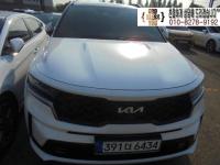 ±â¾Æ ½î·»Åä 4¼¼´ë(20³â~ÇöÀç) °¡¼Ö¸°+Àü±â 1600cc 2WD