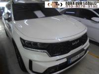 ±â¾Æ ½î·»Åä 4¼¼´ë(20³â~ÇöÀç) °¡¼Ö¸°+Àü±â 1600cc 2WD