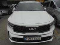 ±â¾Æ ½î·»Åä 4¼¼´ë(20³â~ÇöÀç) °¡¼Ö¸°+Àü±â 1600cc 2WD