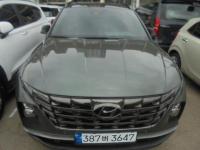 Çö´ë Åõ½Ñ (NX4)(20³â~ÇöÀç) °¡¼Ö¸° 1.6 Åͺ¸ 4WD
