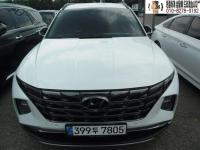 Çö´ë Åõ½Ñ (NX4)(20³â~ÇöÀç) °¡¼Ö¸° 1.6 Åͺ¸ 2WD