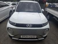 ���� ĳ����(21��~����) ���ָ� 1000cc ��� 
