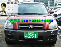 Çö´ë Åõ½Ñ (04³â~09³â) 2.0 CRDi µðÁ© 2WD MX