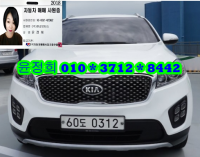 ±â¾Æ ¿Ã ´º ½î·»Åä(14³â~ÇöÀç) µðÁ© 2.0 2WD