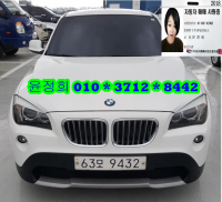 BMW X1 (09³â~ÇöÀç) xDrive 20d