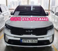 ±â¾Æ ½î·»Åä 4¼¼´ë(20³â~ÇöÀç) °¡¼Ö¸°+Àü±â 1600cc 2WD